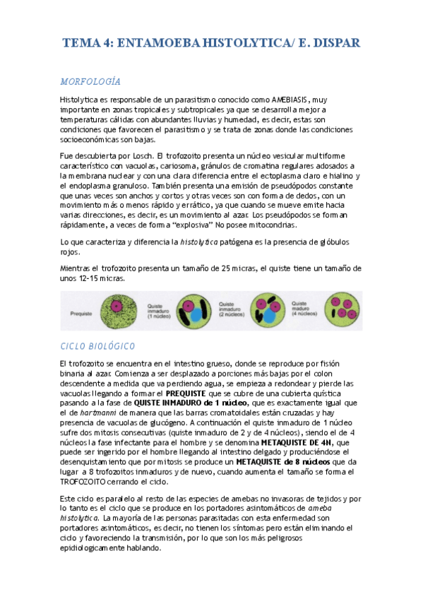 Miniatura del documento TEMA 4.E.HISTOLYTICA.pdf