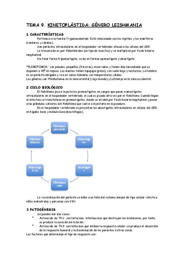 Miniatura del documento TEMA 9. Género Leishmania.pdf