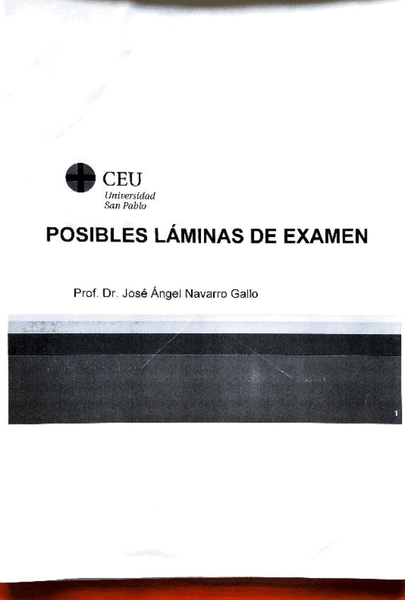 Miniatura del documento Posibles-laminas-de-examen-de-anatomia.pdf