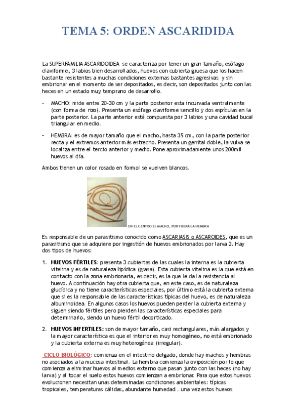 Miniatura del documento TEMA 5.ASCARIDA.pdf
