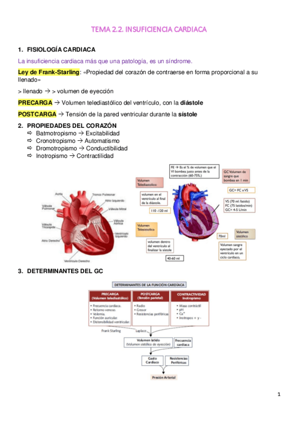 Miniatura del documento TEMA-2.pdf