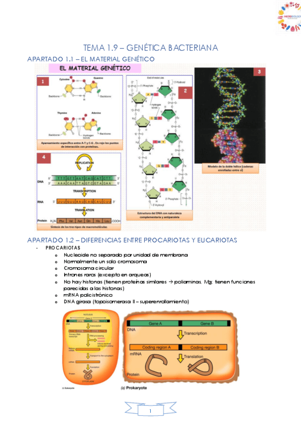 Miniatura del documento TEMA-1.pdf