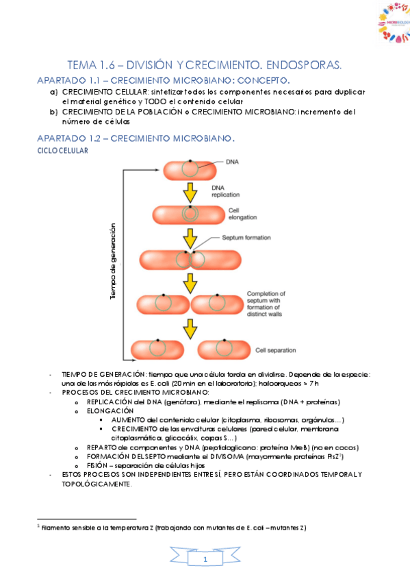 Miniatura del documento TEMA-1.pdf