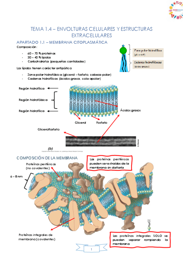Miniatura del documento TEMA-1.pdf