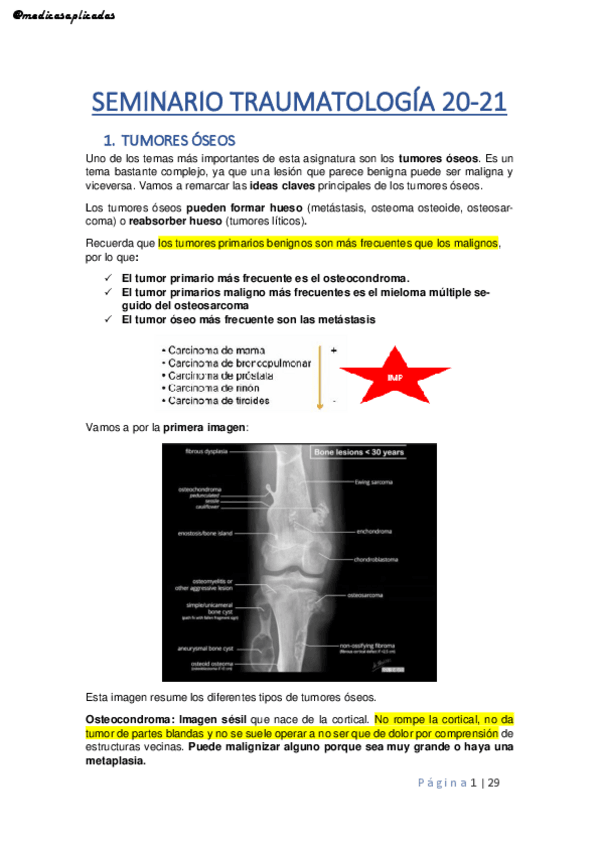Miniatura del documento TRAUMA-SEMINARIO-20-21.pdf