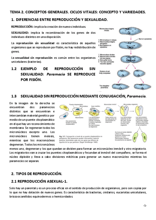 Miniatura del documento TEMA-2.pdf
