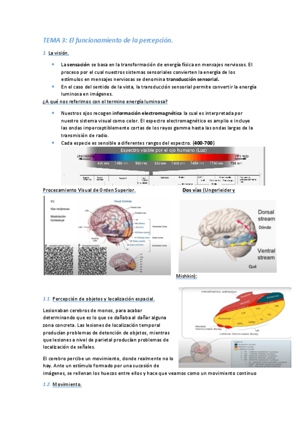 Miniatura del documento TEMA-3.pdf