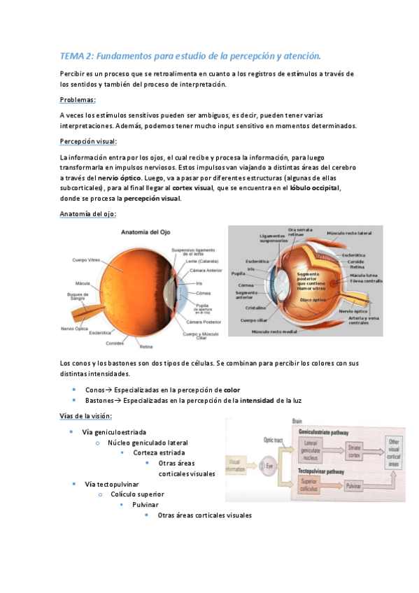 Miniatura del documento TEMA-2.pdf
