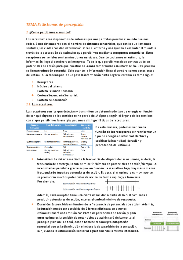 Miniatura del documento TEMA-5.pdf