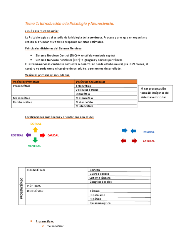 Miniatura del documento Tema-1.pdf