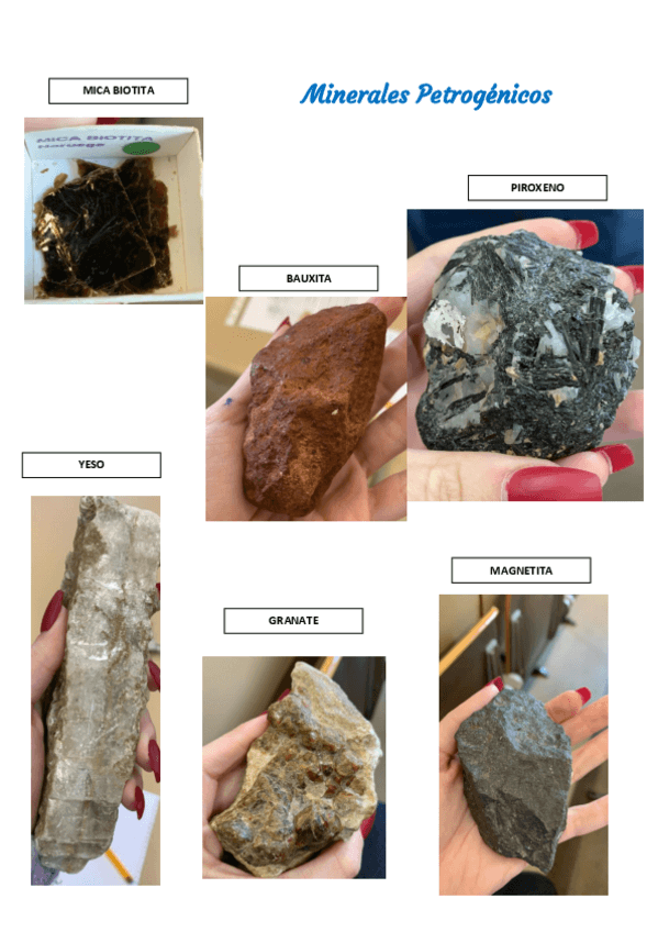 Miniatura del documento NombresRocas.pdf