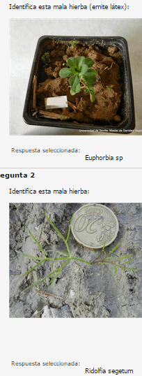 Miniatura del documento 1.png