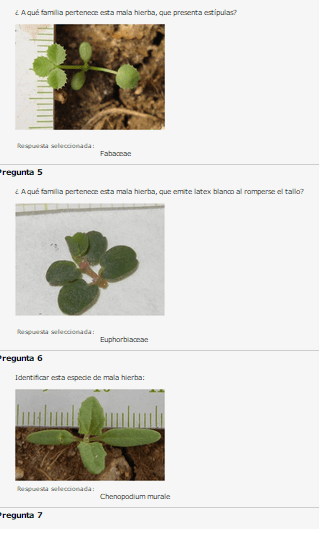 Miniatura del documento 2.png