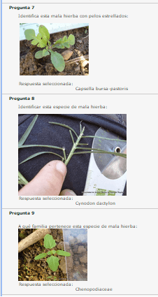 Miniatura del documento 3.png