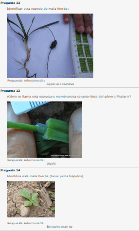 Miniatura del documento 4.png