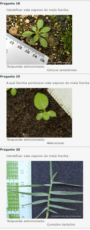 Miniatura del documento 6.png