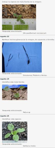 Miniatura del documento 7.png