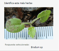 Miniatura del documento 9.png