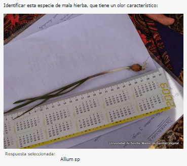 Miniatura del documento 10.png