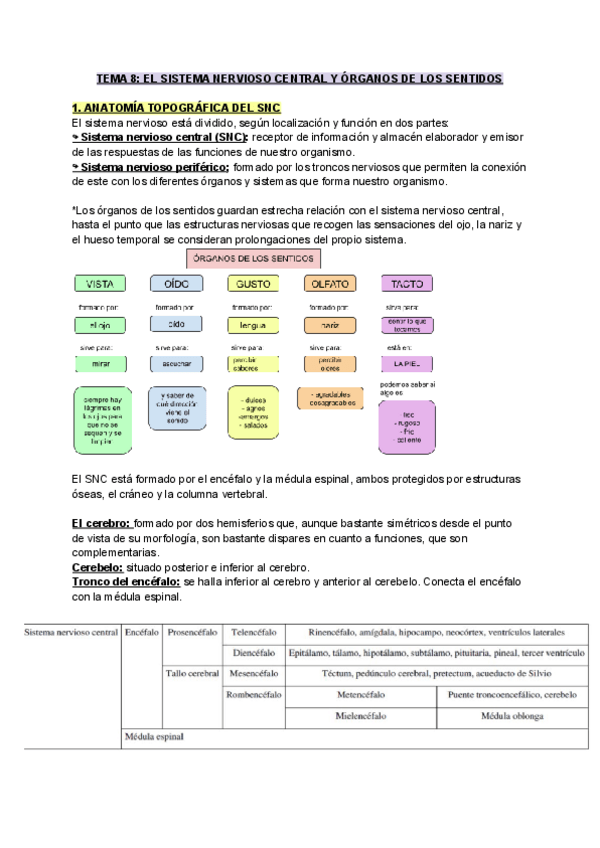 Miniatura del documento TEMA-8-EL-SISTEMA-NERVIOSO-CENTRAL-Y-ORGANOS-DE-LOS-SENTIDOS.pdf