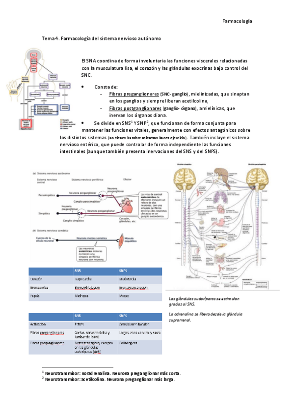 Miniatura del documento Tema-4.pdf