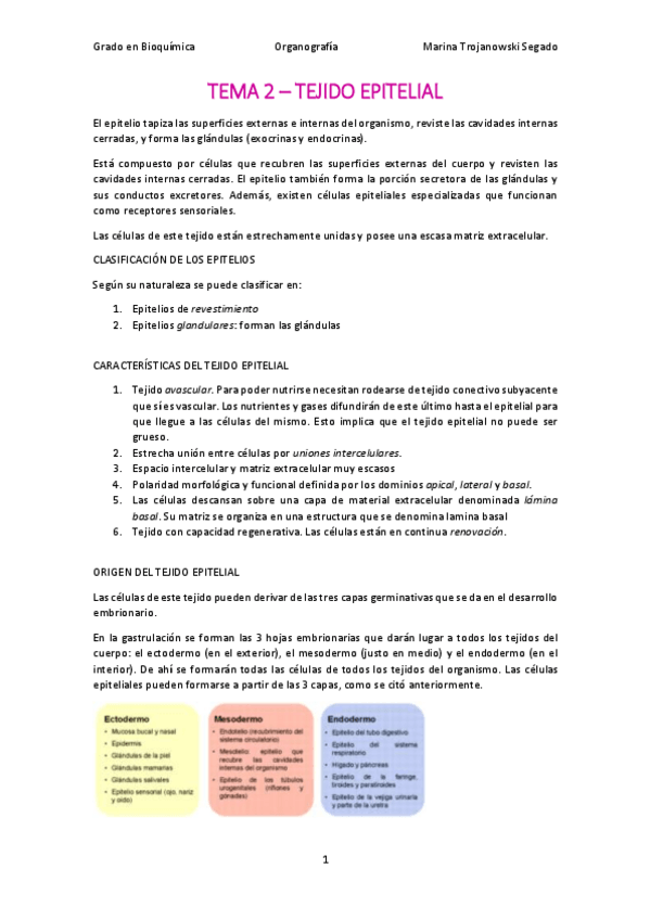 Miniatura del documento Tema 2. Tejido epitelial.pdf