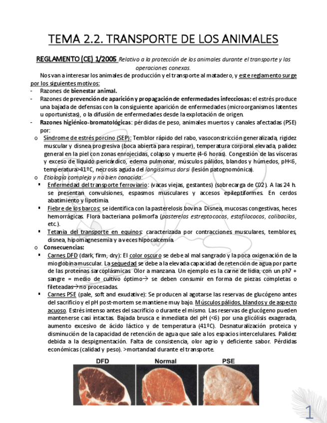Miniatura del documento TEMA-2.2.pdf