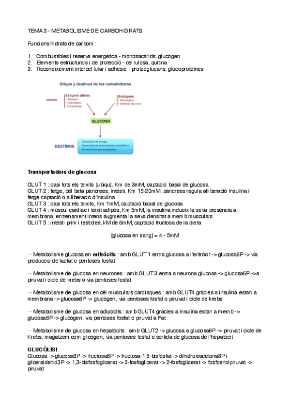 Miniatura del documento TEMA-3.pdf