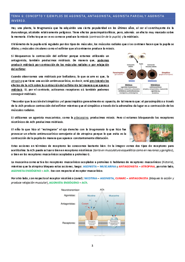 Miniatura del documento Tema-6.pdf