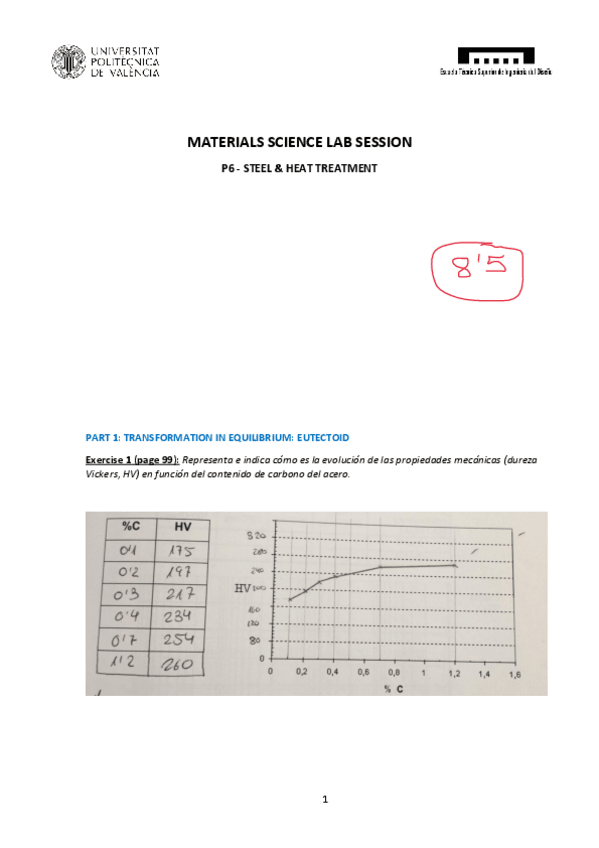 Miniatura del documento P6-Acero.pdf