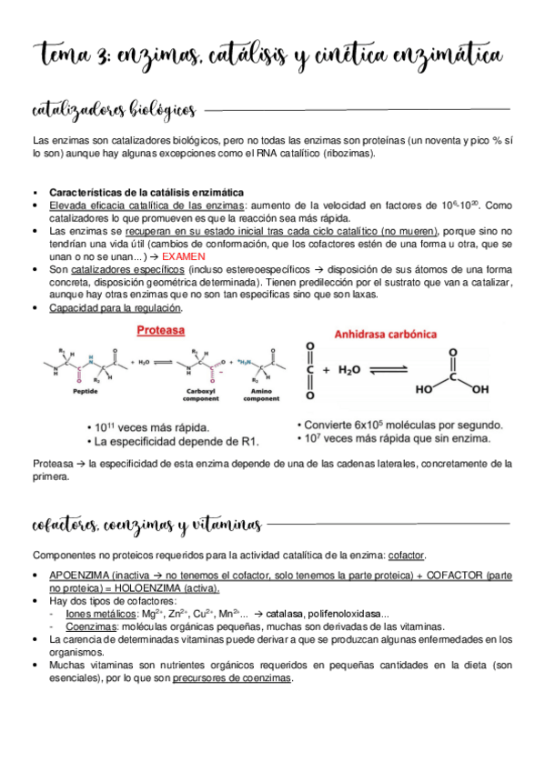 Miniatura del documento Tema-3.pdf