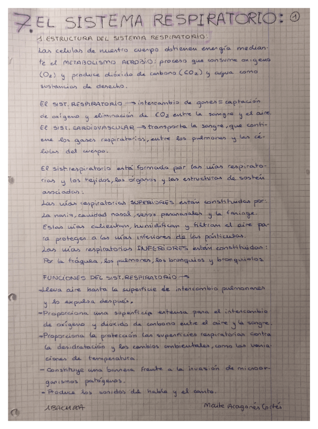 Miniatura del documento 10.pdf