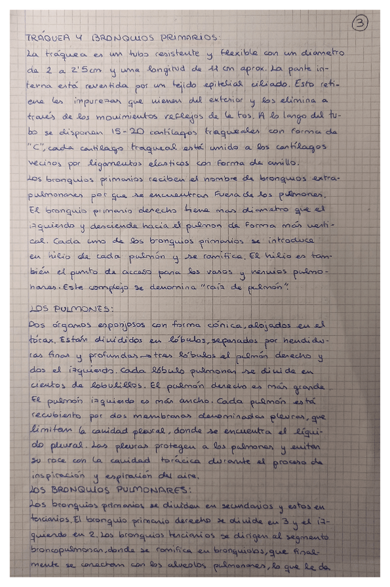 Miniatura del documento 03.pdf