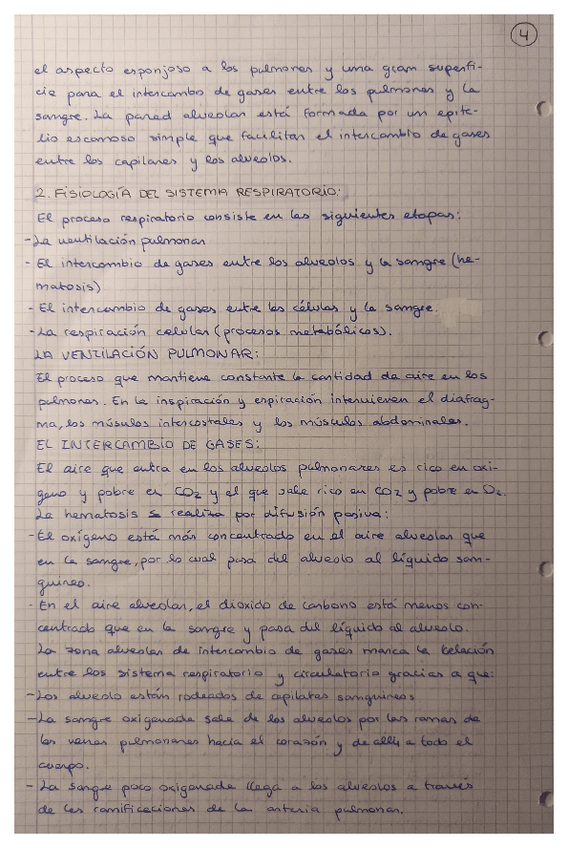 Miniatura del documento 04.pdf