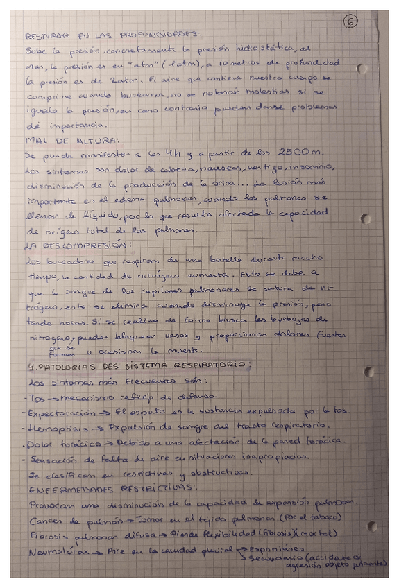 Miniatura del documento 06.pdf