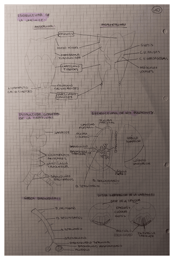 Miniatura del documento 10.pdf