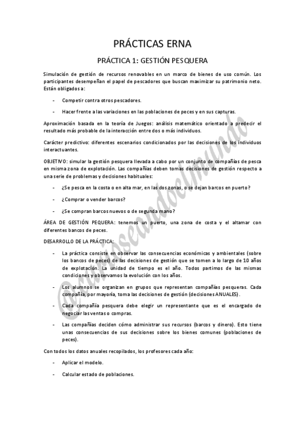 Miniatura del documento PRACTICAS-ERNA.pdf