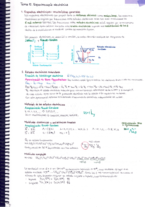 Miniatura del documento TEMA-12.pdf