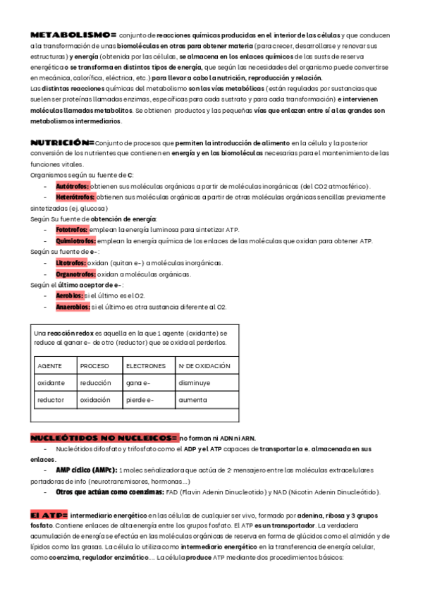 Miniatura del documento INTRO-METABOLISMO-ENZIMAS-Y-VITAMINAS.pdf