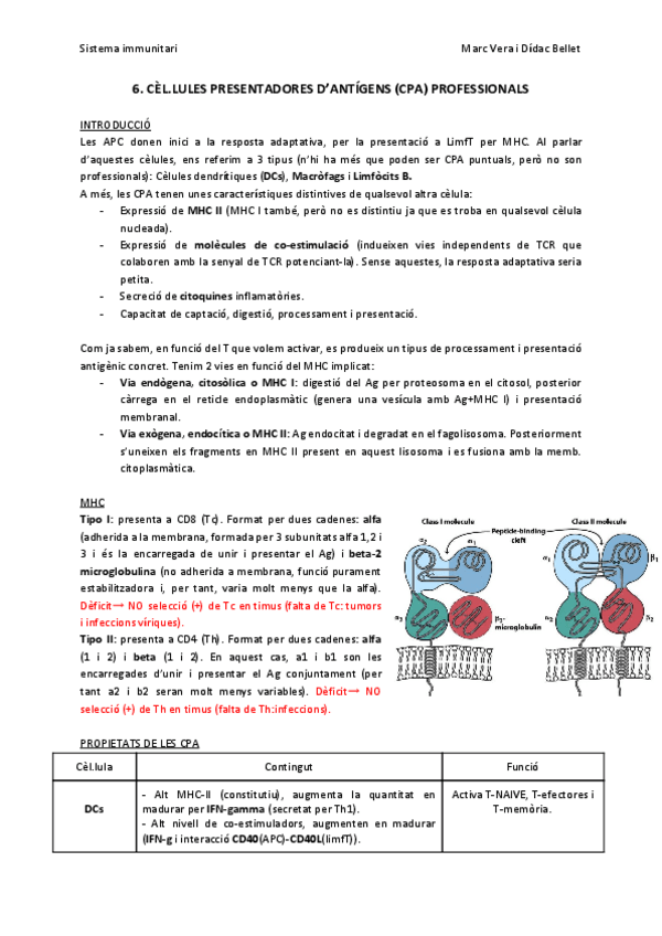 Miniatura del documento SIT6-CPAs.pdf