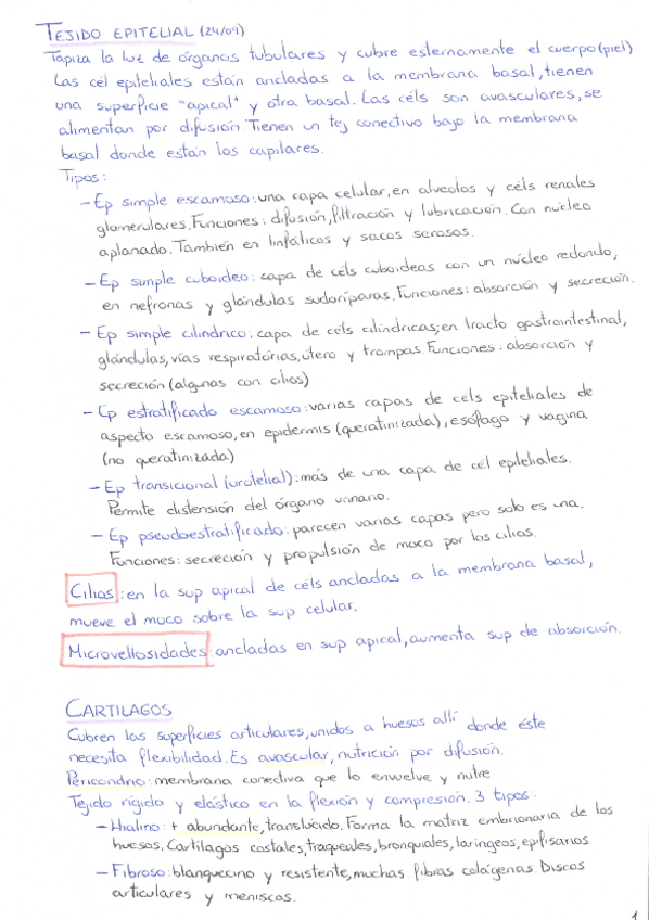 Miniatura del documento AP.pdf