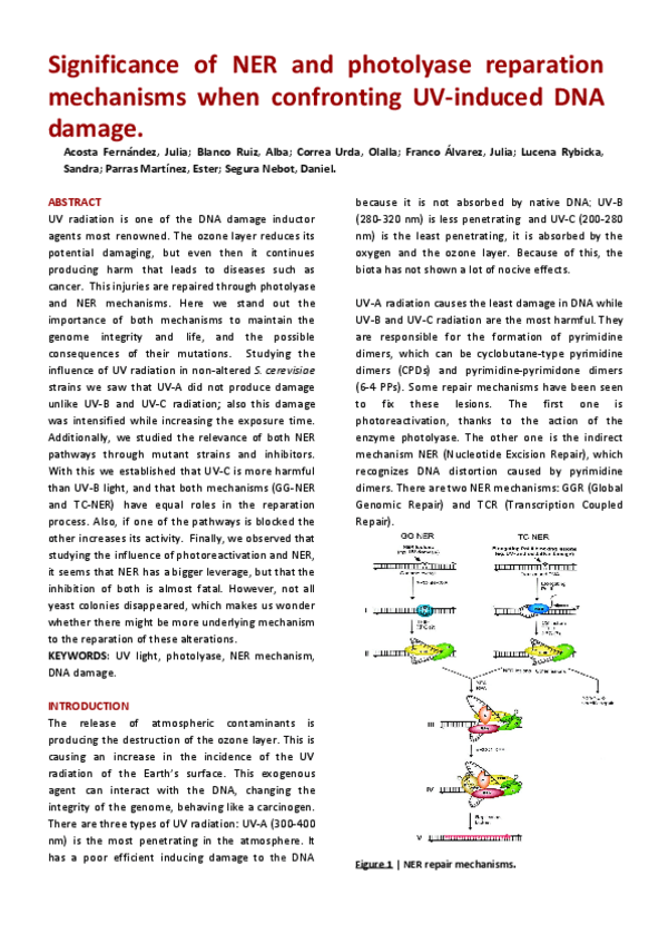 Miniatura del documento ARTICULO-FAMILIA-ACOSTA.pdf