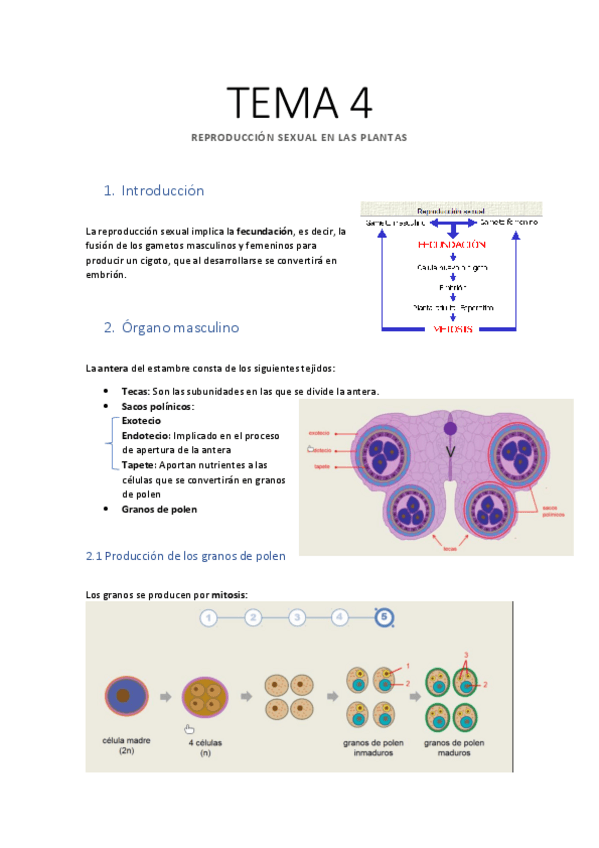 Miniatura del documento TEMA-4-Reproduccion-Sexual.pdf