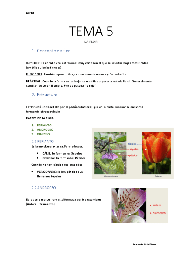 Miniatura del documento TEMA-5-La-Flor.pdf