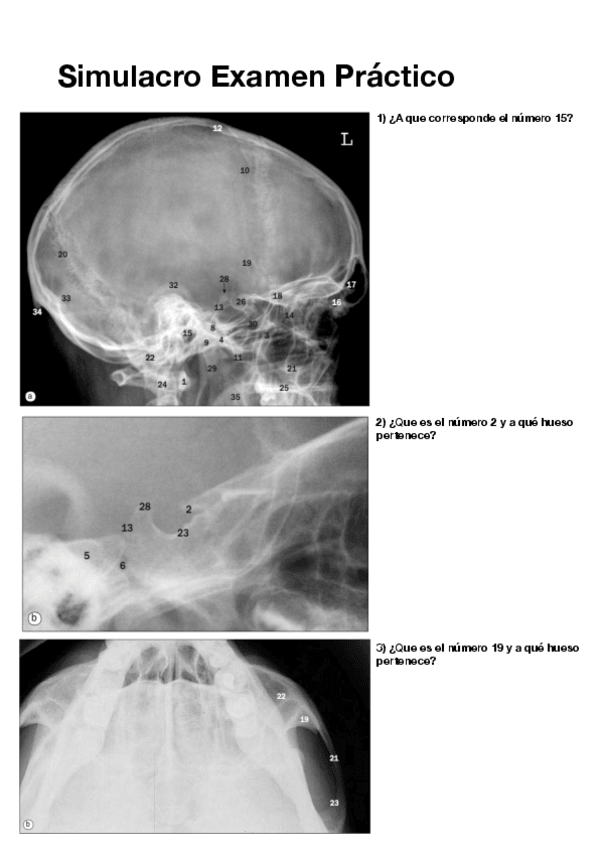 Miniatura del documento Simulacro-Examen-Practico-pdf.pdf