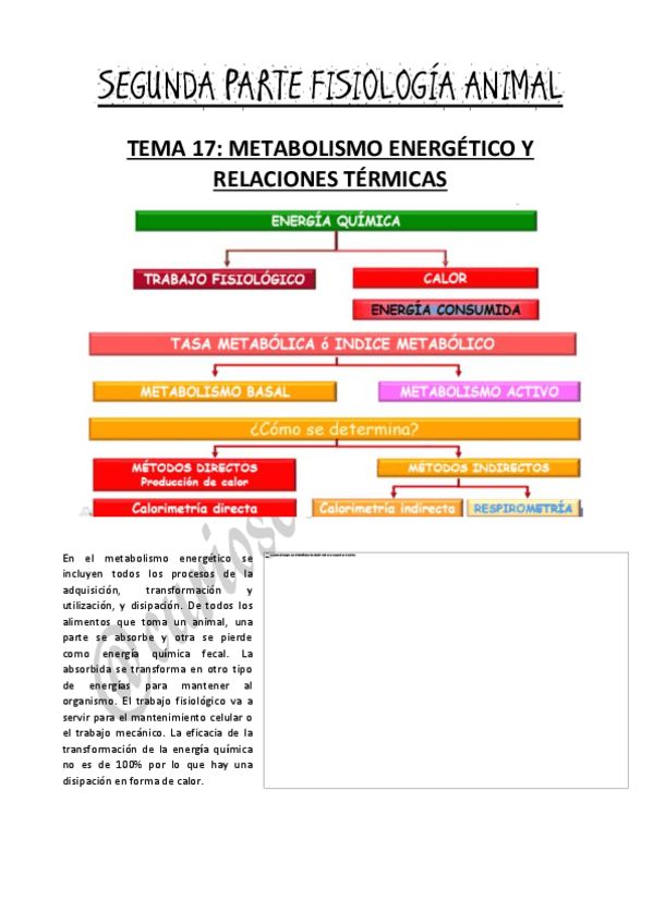 Miniatura del documento TEMA-17-19.pdf