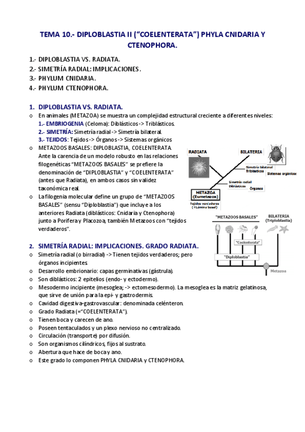 Miniatura del documento TEMA-10.pdf
