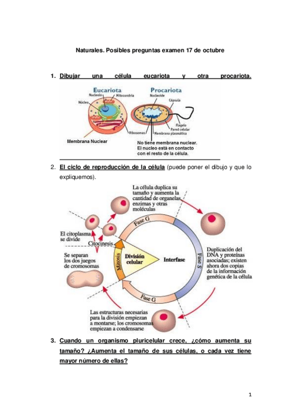 Miniatura del documento Posibles-preguntas-naturales-hechas.pdf