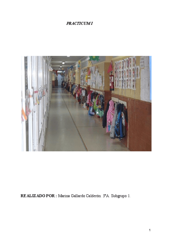 Miniatura del documento Memoria-Practicum-I.pdf