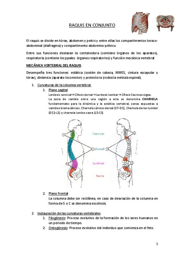Miniatura del documento RAQUIS-EN-CONJUNTO.pdf